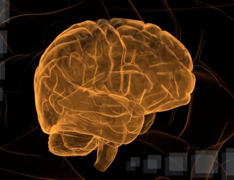 amyotrophic lateral sclerosis