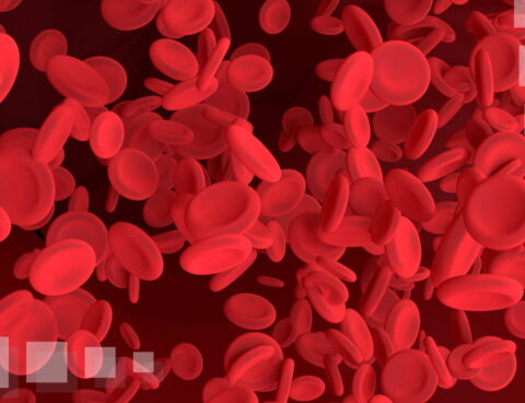 What are blood clots