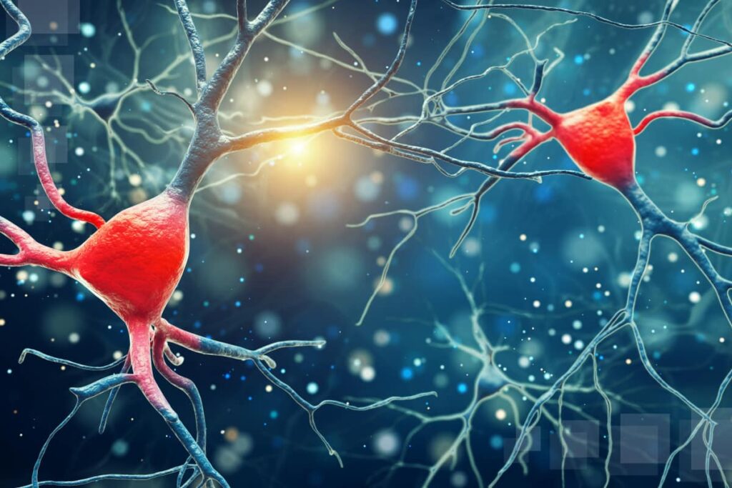 Types of Neuropathy Lone Star Neurology