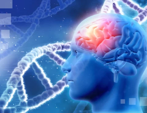 Frontal Lobe Damage