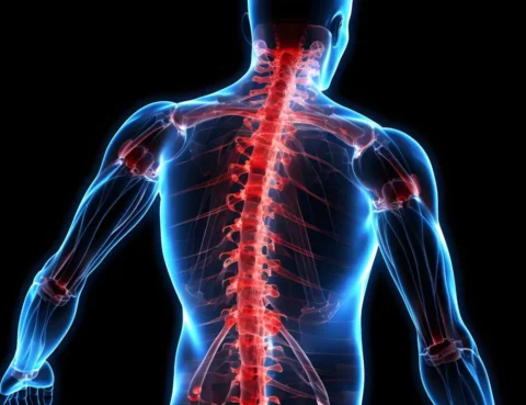 What is Friedreich Ataxia Disease logo