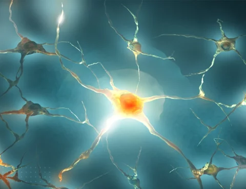 Types of Movement Disorders