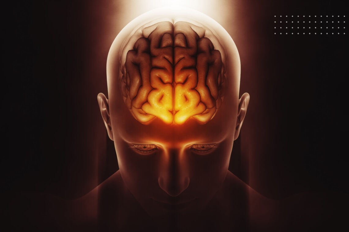 What Happens with Brain in Alzheimer's Disease