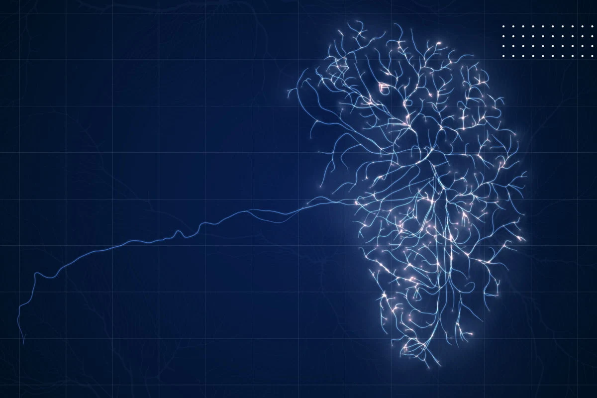 Dysphagia and Parkinson’s Disease: Symptoms and Treatment