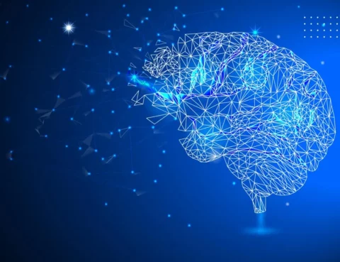 Encephalitis and Everything You Need to Know