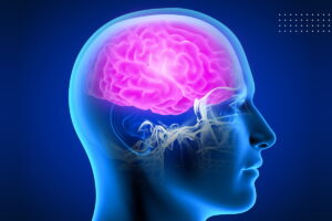 What are acquired neurogenic communication disorders