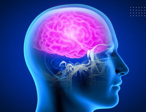 What are acquired neurogenic communication disorders