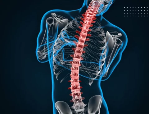 Types of Spine Cord Injuries