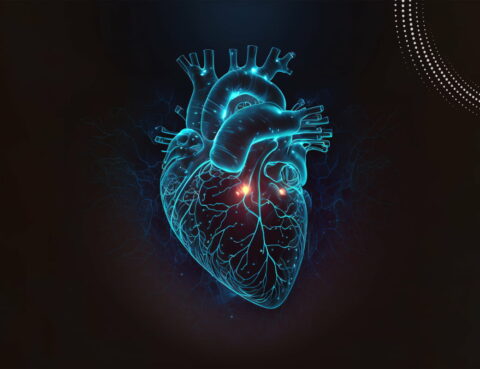 difference between stroke and heart attack