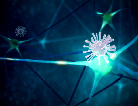 central nervous system infection