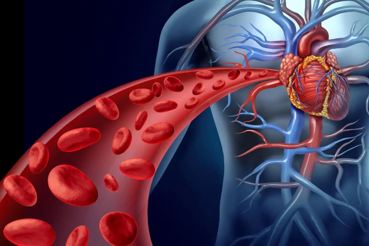 Improving Blood Circulation