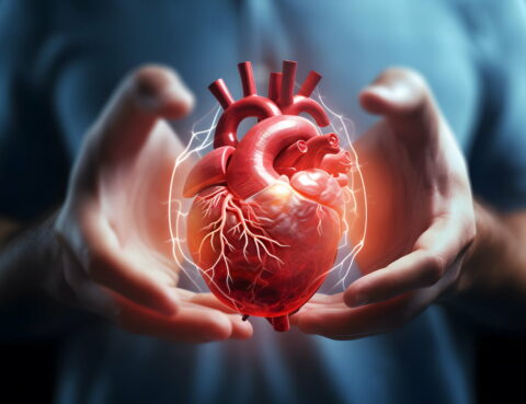 Illustration - Human hands cradling a glowing heart