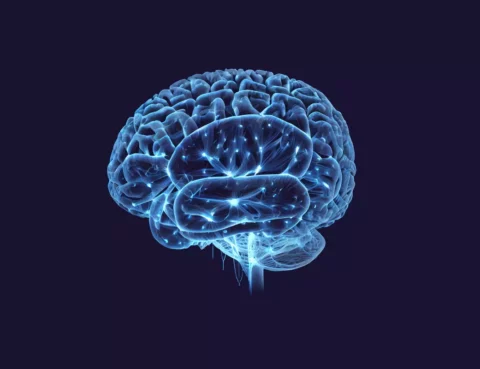 role-of-neurological-disorders