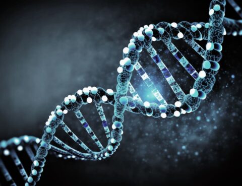 Is-Epilepsy-Genetic-Exploring