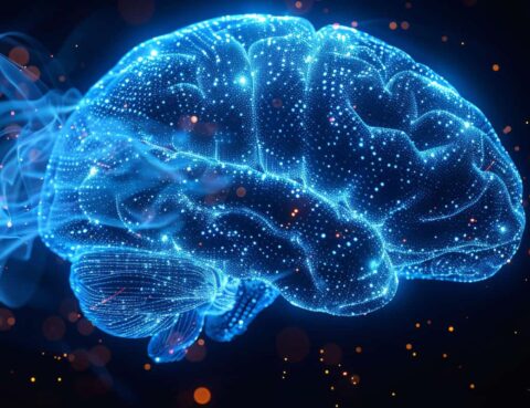 The-Impact-of-Hormones-on-Neurological