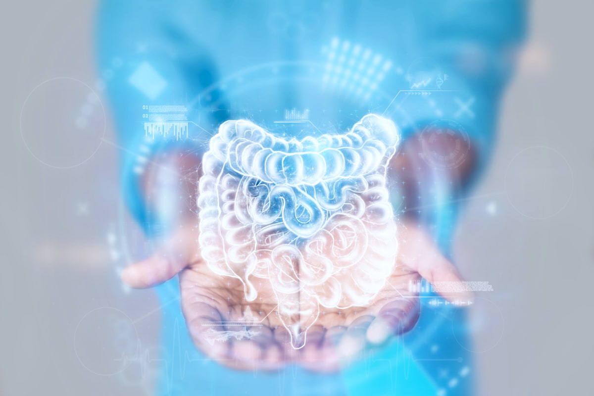 The Link Between Gut Microbiome and Neurological Health - Lone Star ...