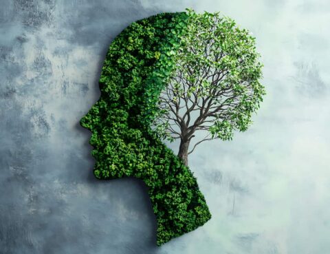 Environmental-Factors