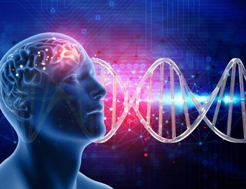 The-Genetic-Blueprint