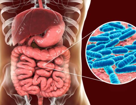 Understanding the Link