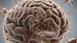 Understanding-Cognitive