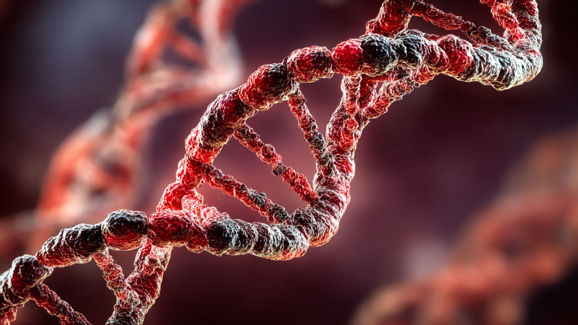 Genetic Risk & Neurological Disorders Guide